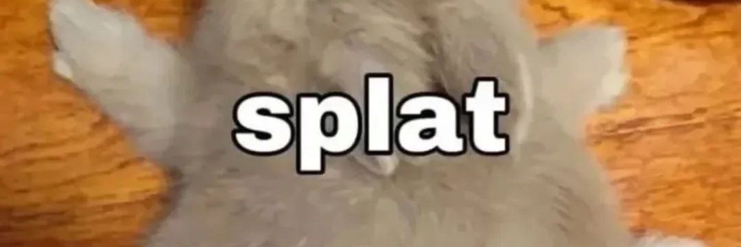 Toro 🥞 🔜 TFF banner