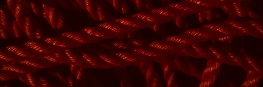 intothesebonds's profile banner image