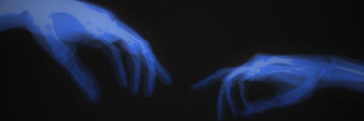 stheffy | 🇻🇪🏆 banner