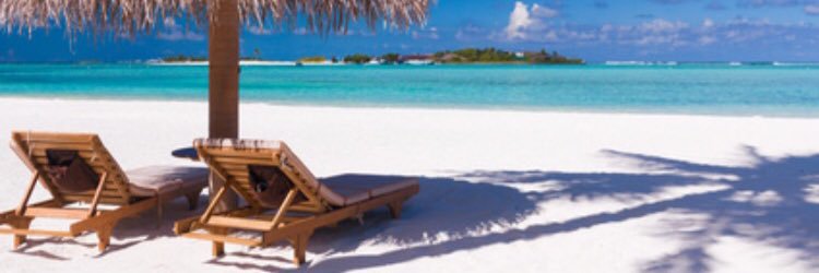 SGteau's profile banner image