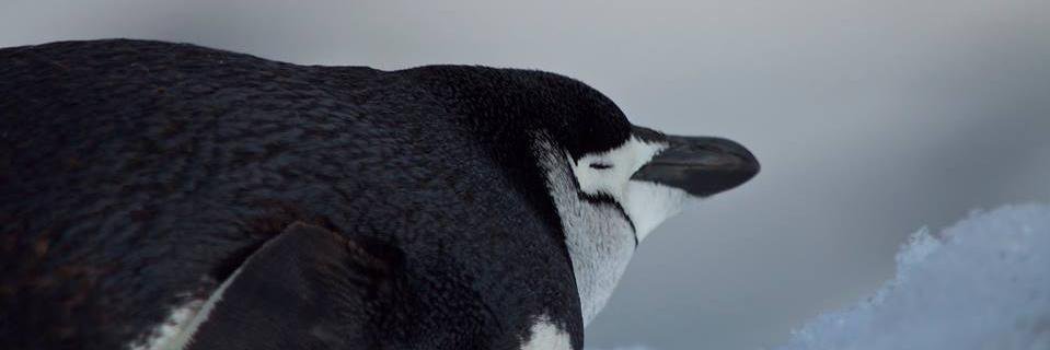 M__Bruno's profile banner image