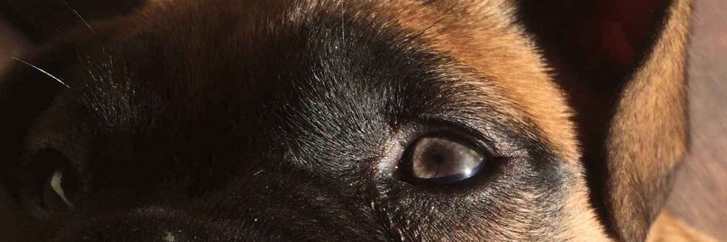 SolRrubelt's profile banner image