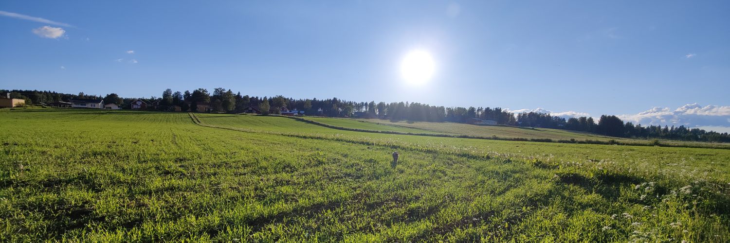 torpanhannes's profile banner image