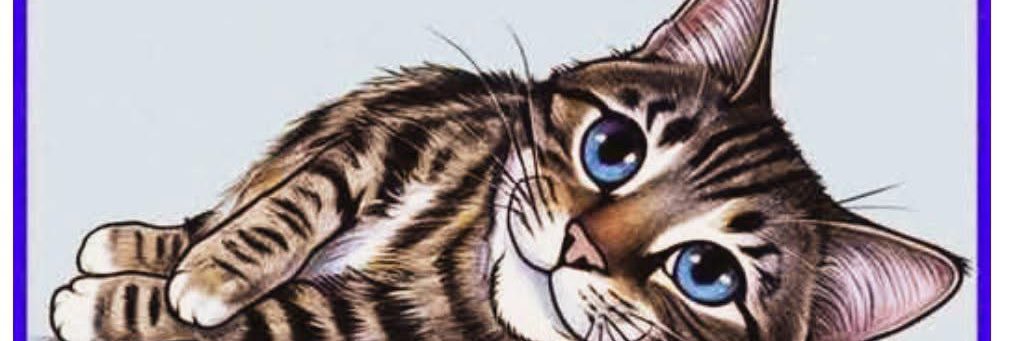 E44Ma's profile banner image
