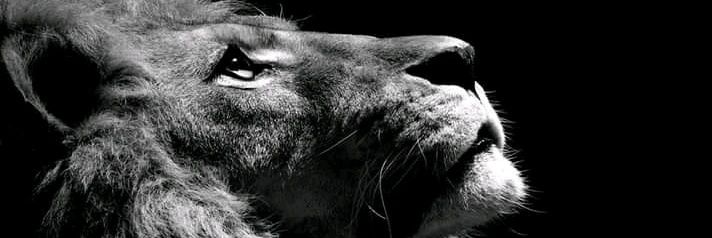 CleittonMineiro's profile banner image