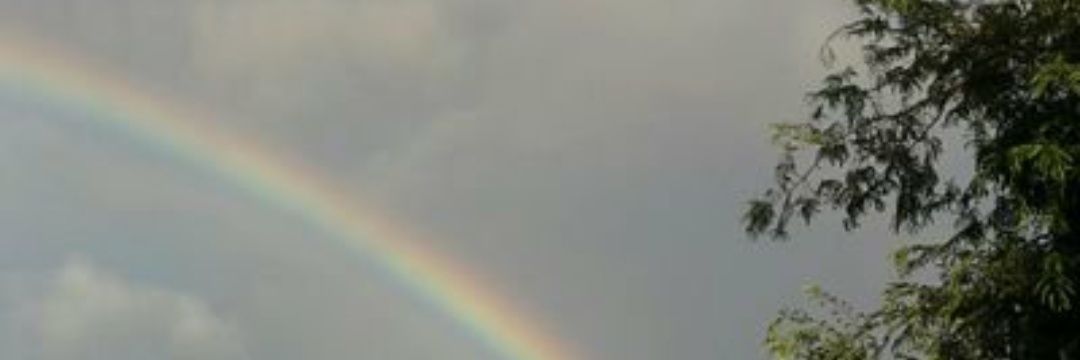 ros5700's profile banner image
