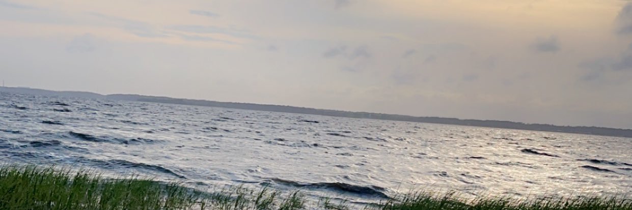 Austin Stockett banner