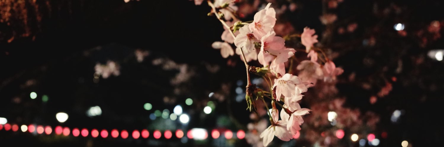 ks_0307's profile banner image