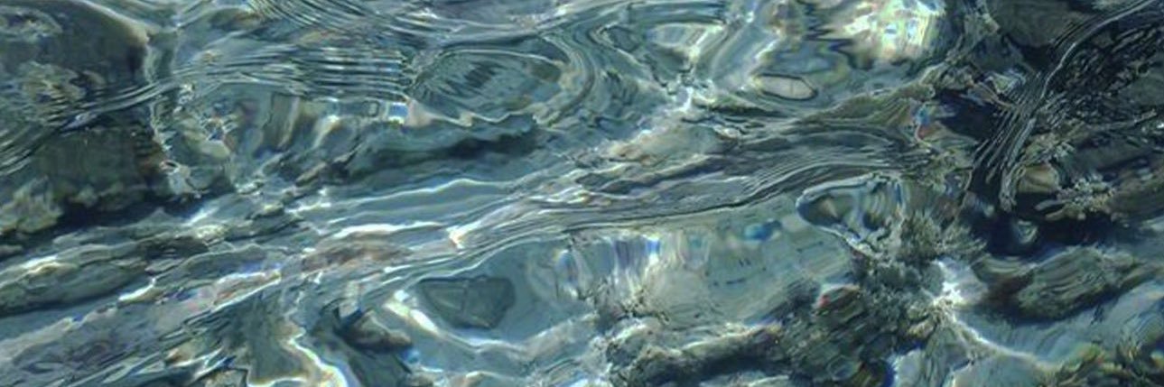 ทวดดトアド banner