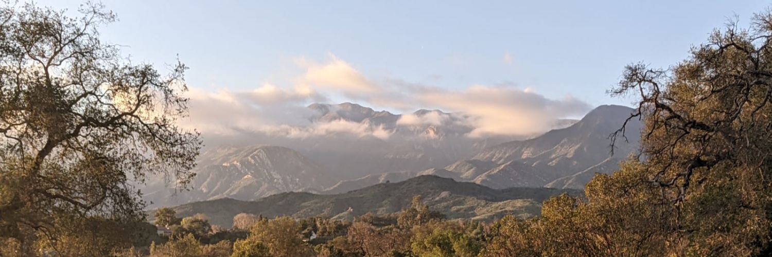 OleOlea's profile banner image