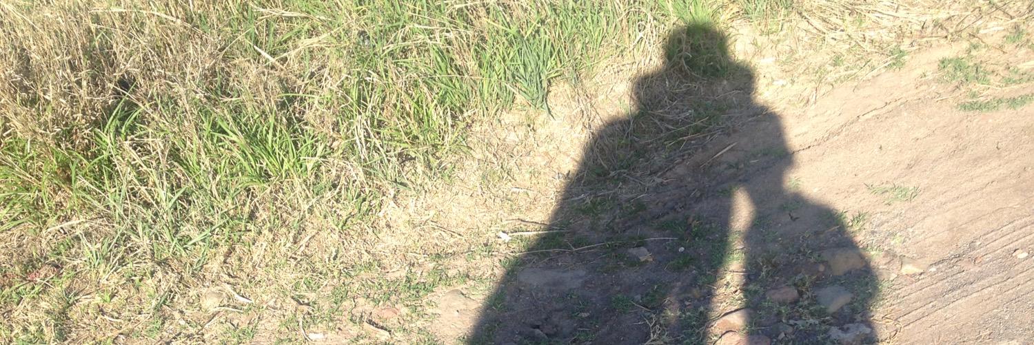 caosconmadre's profile banner image