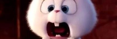 light_Rabbit_ banner