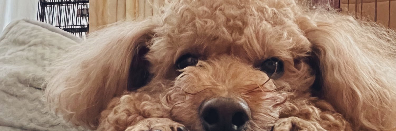 ___o102___'s profile banner image