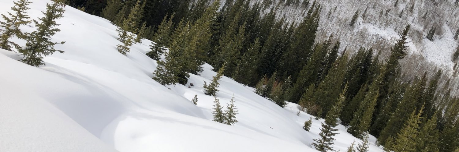 CooperGaylord's profile banner image