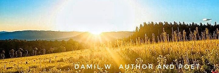 Damil W author, poet 🤓 ✍️'s banner