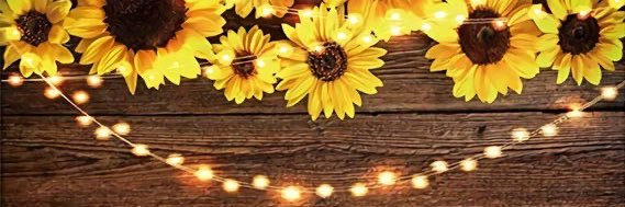 Klee Ann banner