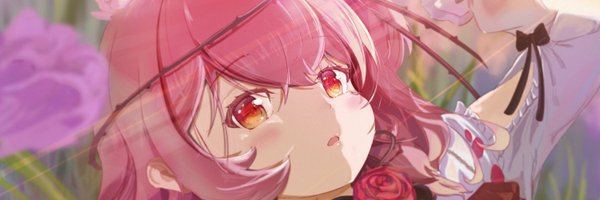 hduckl1 Profile Banner