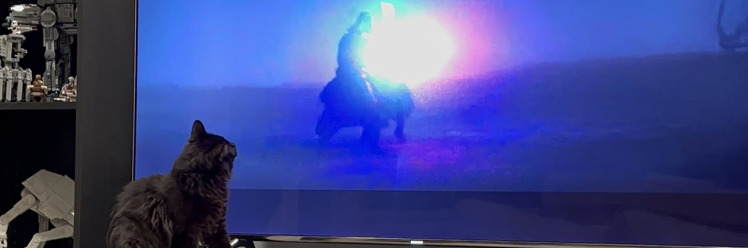 Douglas Bogart banner