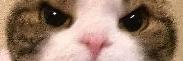 VBdBuzGFbA5lB3's profile banner image