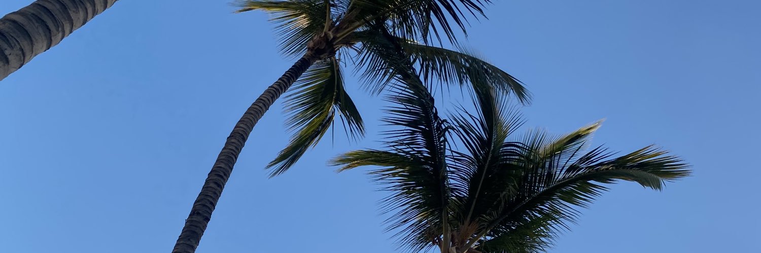 _mpgm's profile banner image