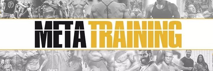 MetaTraining's profile banner image