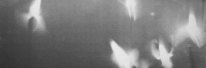 ✱ banner