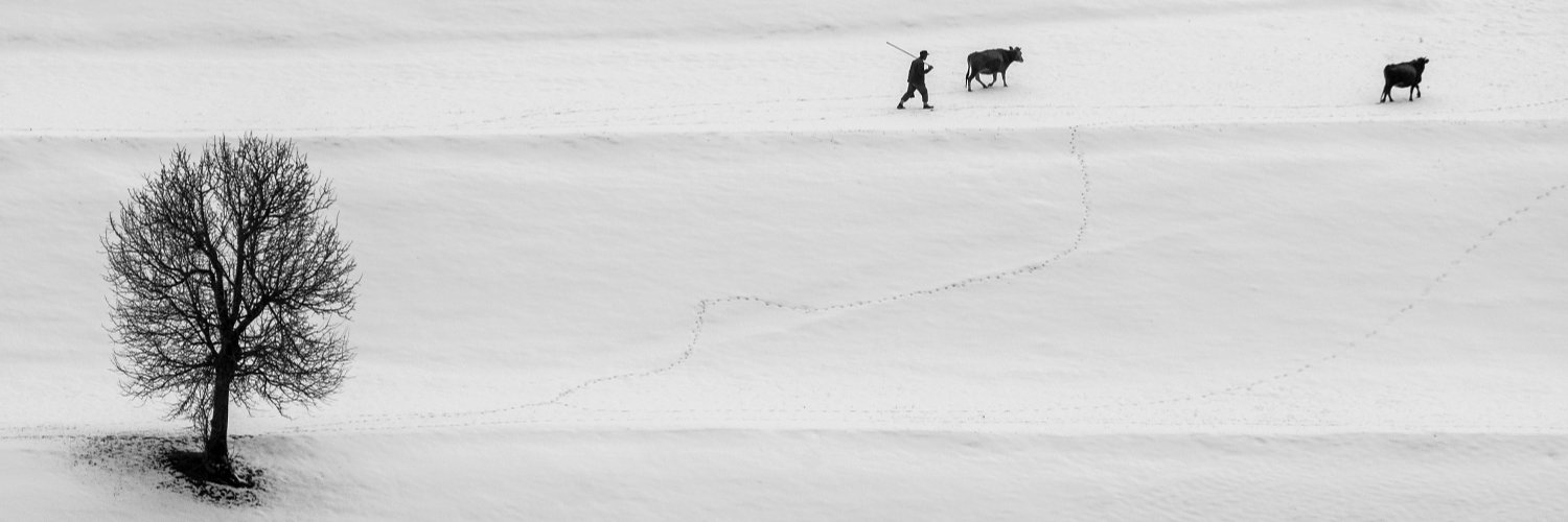 Aliphotographs's profile banner image