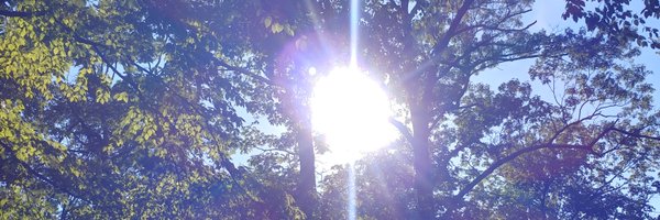 AlCopelandMusic Profile Banner