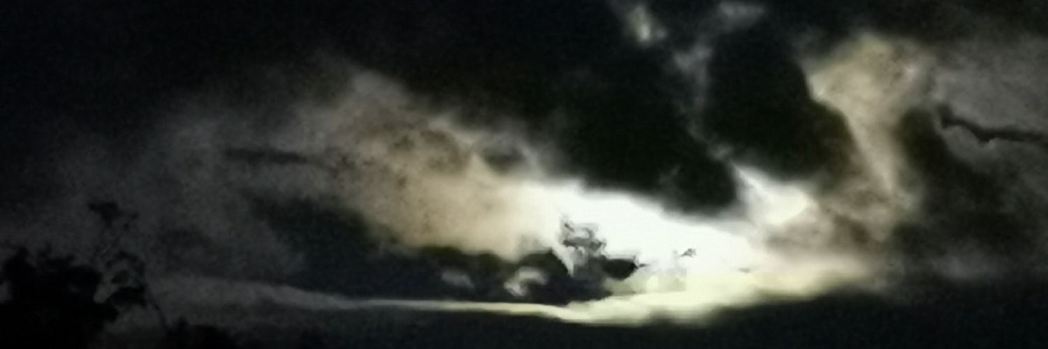 twitbagg's profile banner image