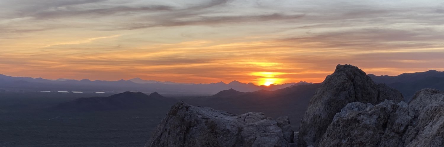 Jessika Carrington banner