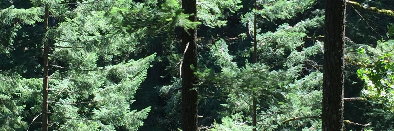 MNMaven's profile banner image