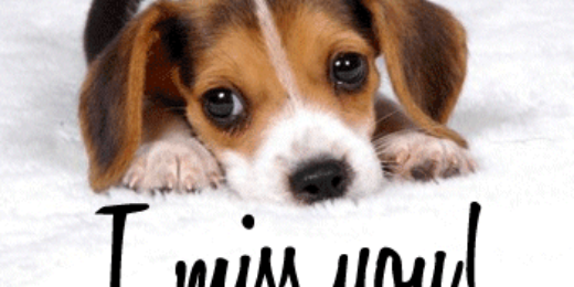 cris_nm19's profile banner image
