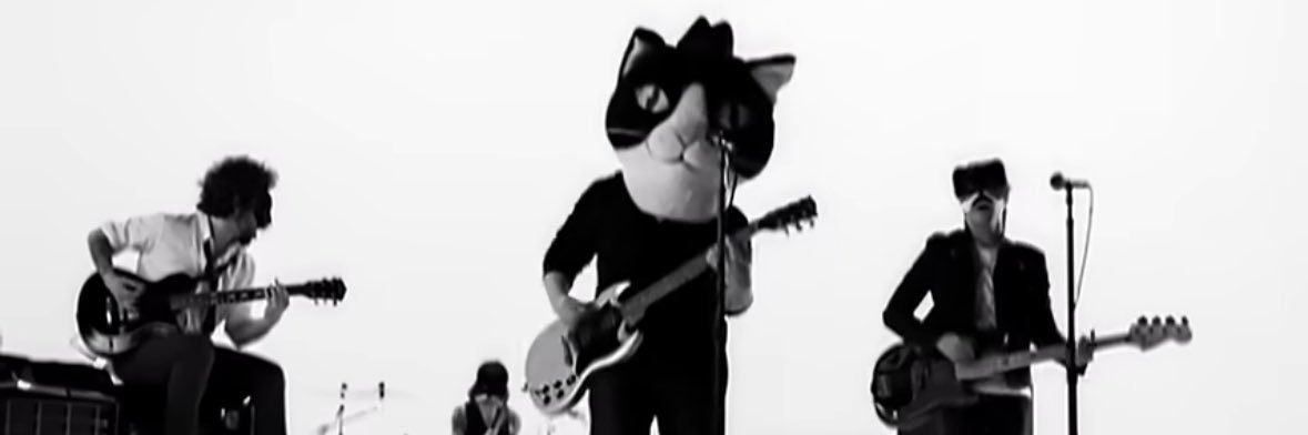 captain kitty banner