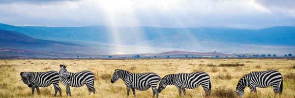 VoyagersV Profile Banner