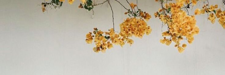 lividot's profile banner image