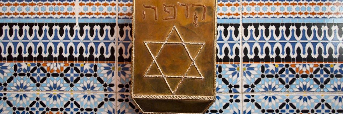 Zineb Riboua's banner