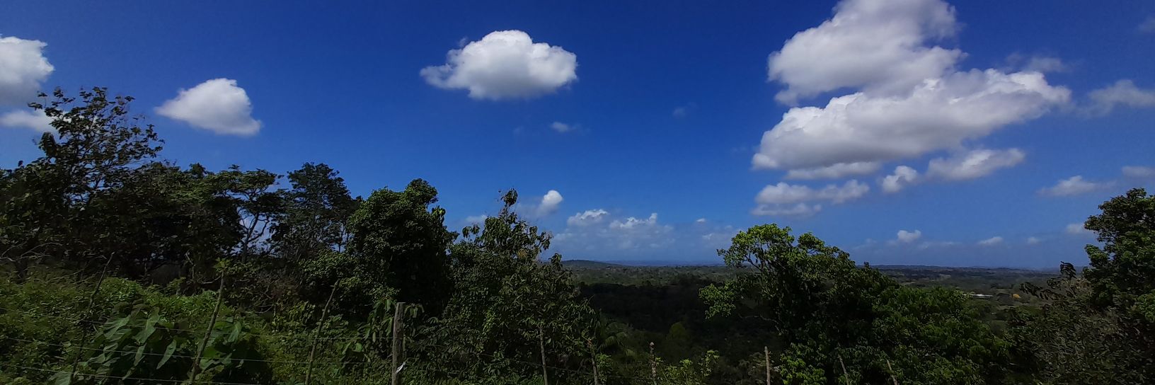 Dagoberto A. Castro banner