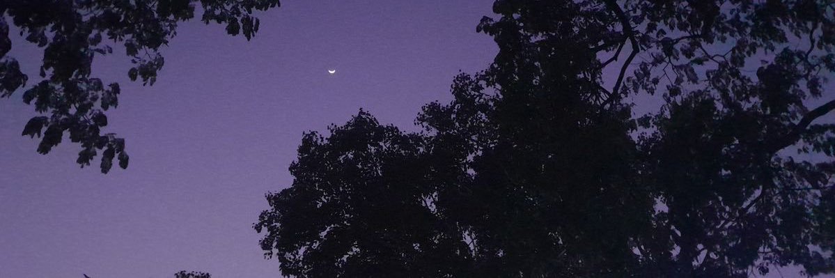 ͏ banner