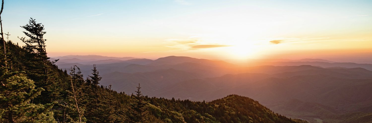 taylorwalters96's profile banner image
