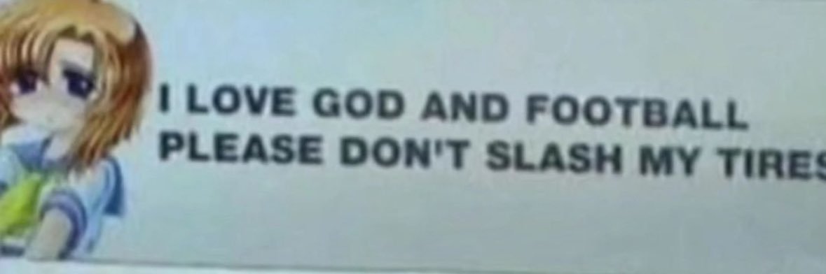 Stephamie (Bitch Era) banner