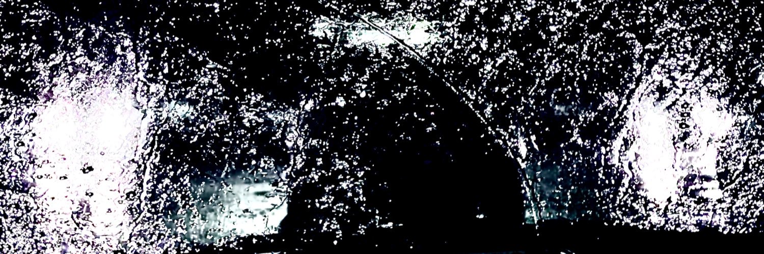 blaine banner
