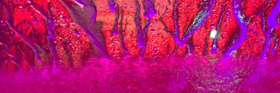 karabearss's profile banner image