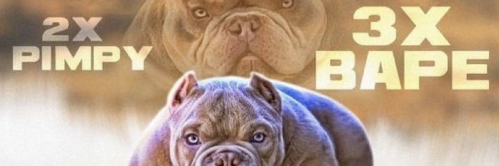 kingsly (comms open)'s banner