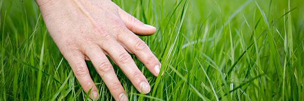 fanyy_crypt Profile Banner