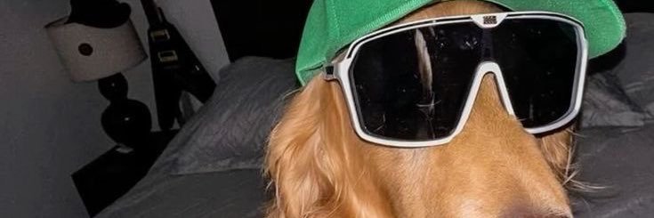 mo_plaito's profile banner image