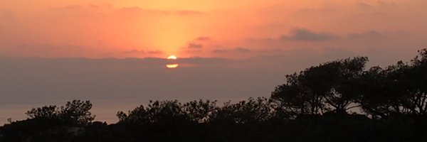 FazeliSoudabeh Profile Banner