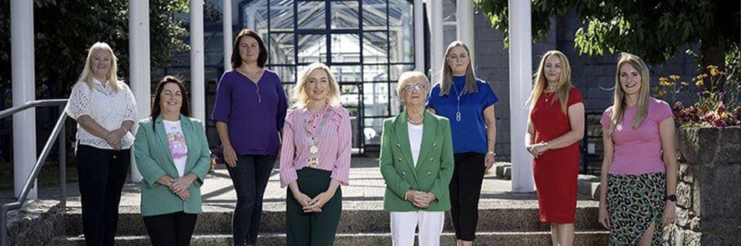 Limerick Women's Caucus banner