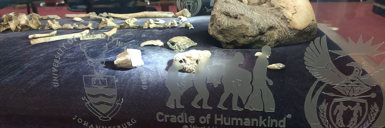 PaleoBRAIN's banner