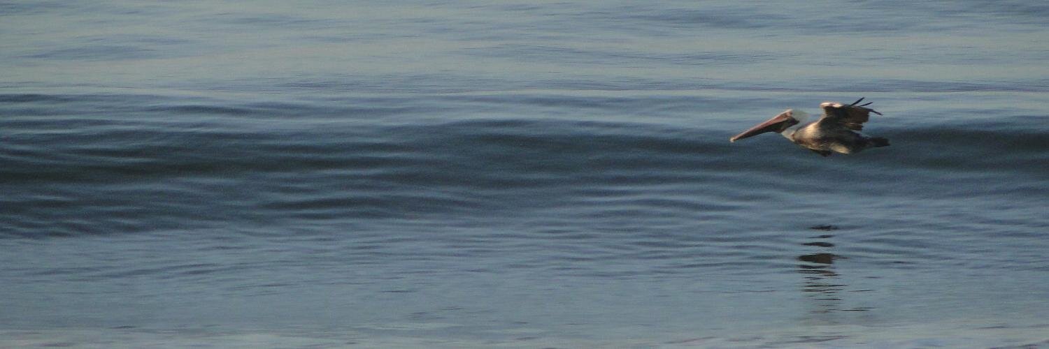 julesgtm's profile banner image