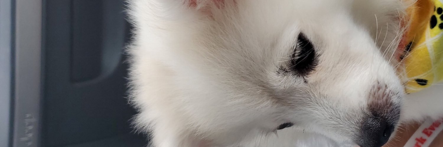 tdist_7's profile banner image
